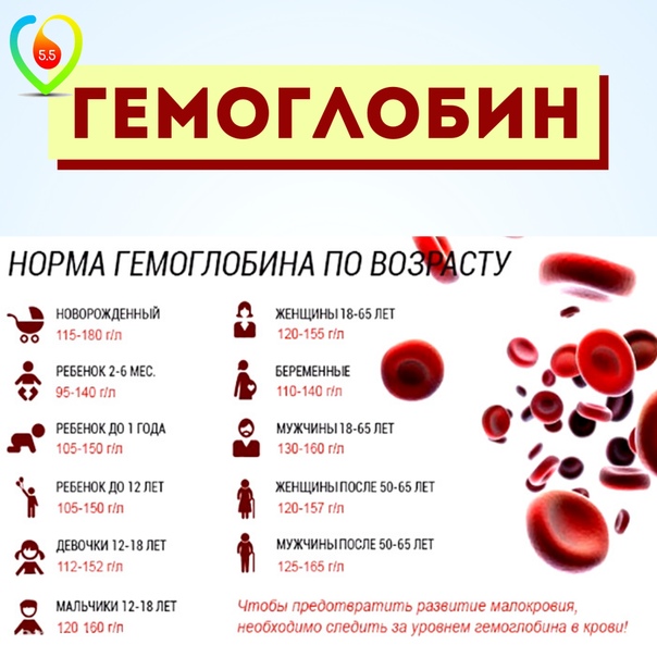 7 главных продуктов для повышения гемоглобина
