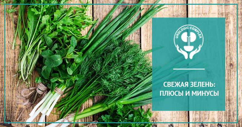 Свежая зелень: плюсы и минусы